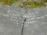 image of grave number 206493